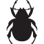 beetle shape