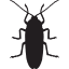 cockroach silhouette