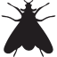 moth insect shape