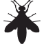 wasp silhouette